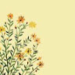 Meet your Posher, Nora